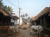 Karamala Village (Bhoipada)