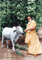 Abhiram Paramahansa Dev 10